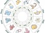 Star Signs Star Signs