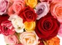 St Valentine Day St Valentine Day